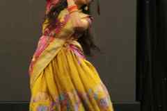 IMG_2718-cmpr